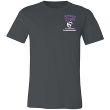 Load image into Gallery viewer, 3001C Bella + Canvas Unisex Jersey Short-Sleeve T-Shirt event