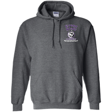 Load image into Gallery viewer, G185 Gildan Pullover Hoodie 8 oz. event