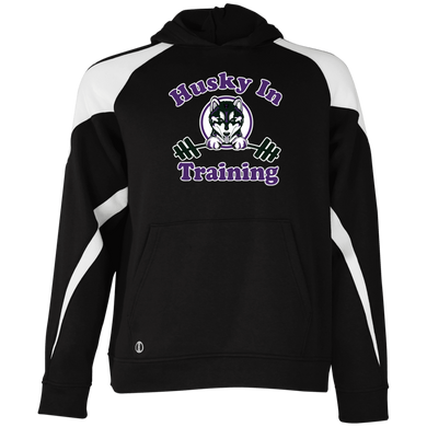 Husky in training 229646 Holloway Youth Colorblock Hoodie