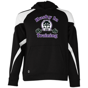 Husky in training 229646 Holloway Youth Colorblock Hoodie